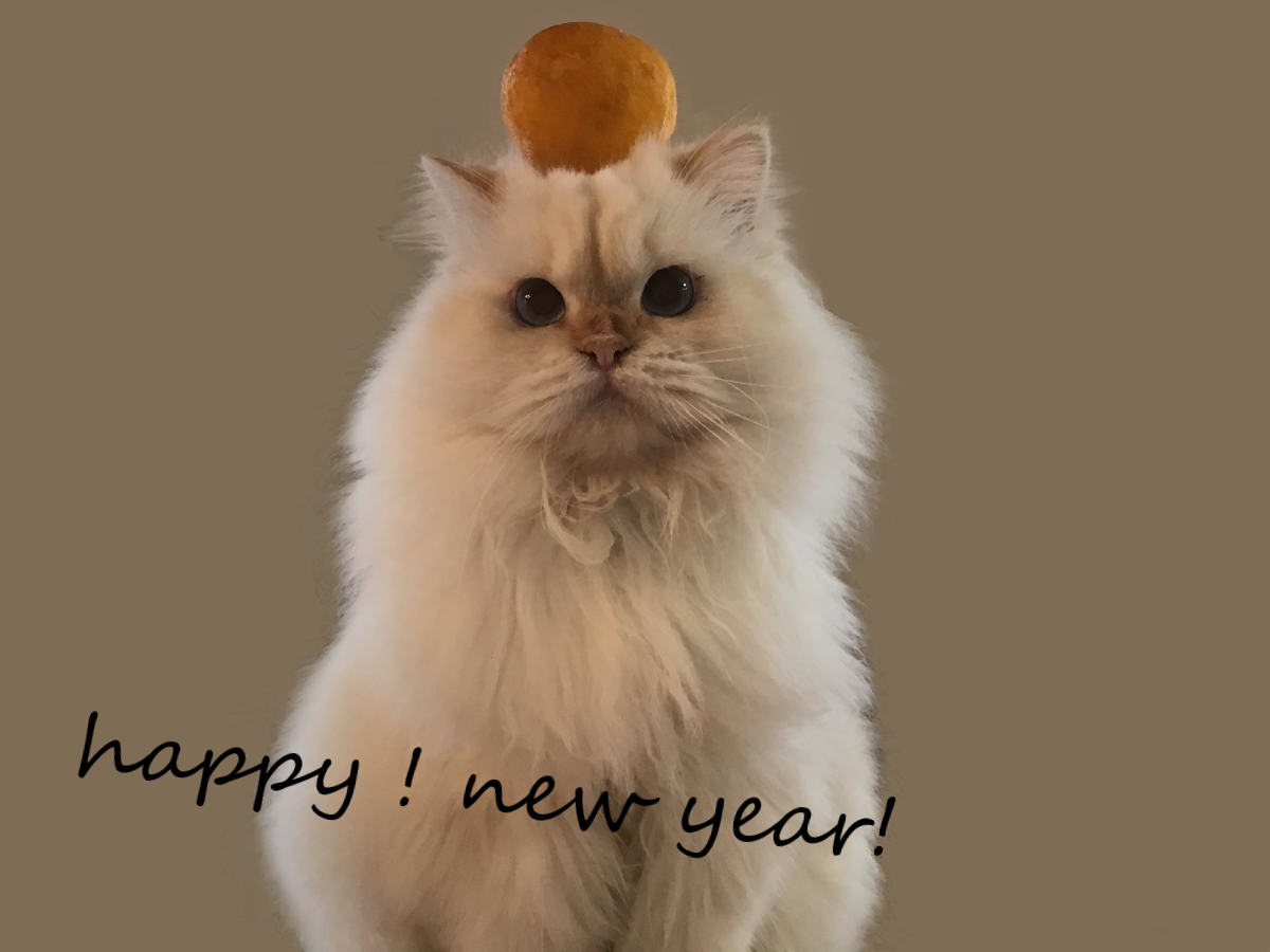 新年みるく